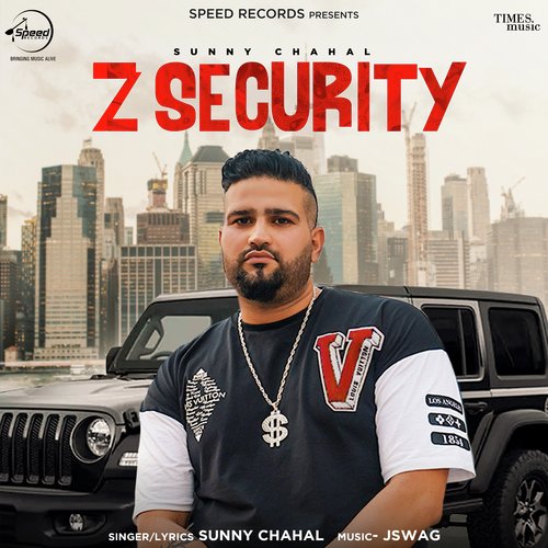 Z Security_poster_image