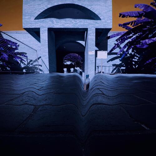 loris cover art