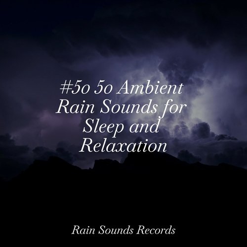 #50 50 Ambient Rain Sounds for Sleep and Relaxation