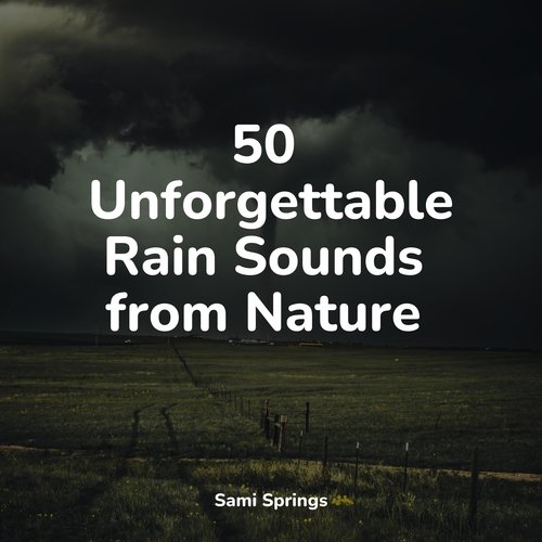 Rain, Storm and Thunder cover art