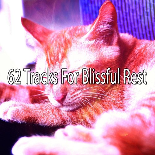 62 Tracks For Blissful Rest