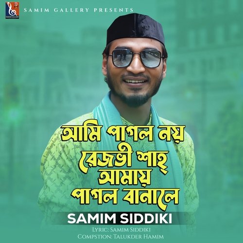 আমি পাগল নয় রেজভী শাহ আমায় পাগল বানালে