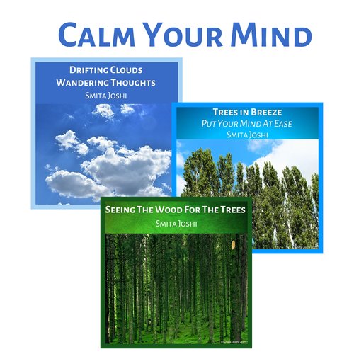 Calm Your Mind