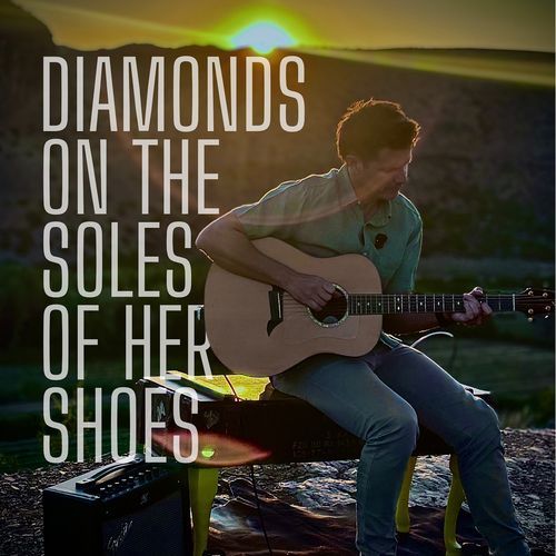 Diamonds on the Soles of Her Shoes