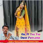 Dil M Tui Tui Dikh Patlasa