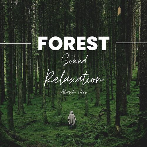 Forest Sound Relaxation