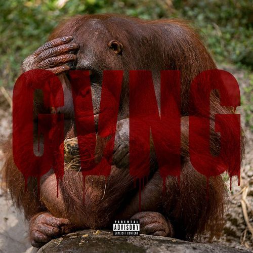 GVNG