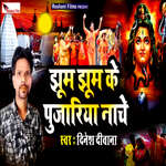 Jhum Jhum Ke Pujariya Nache