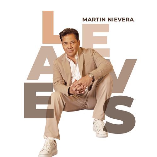 Leaves_poster_image