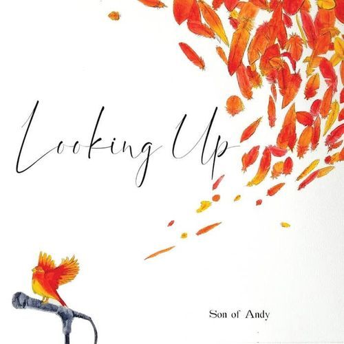 Finch cover art