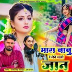 Mara Babu Re Rove Thari Jan