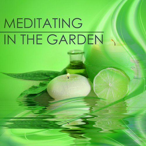 Meditating in the Garden - Zen Japanese Music with Sounds of Nature Ambience, Naturescapes for Relaxation