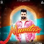 Mumtaz artwork