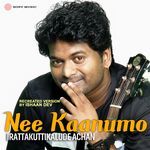 Nee Kaanumo (Recreated Version)