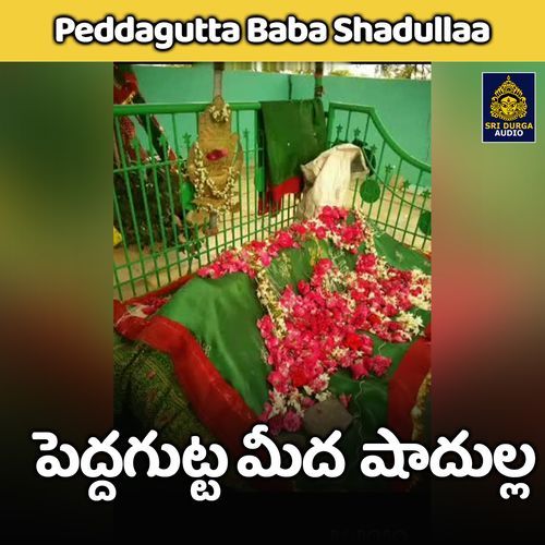 Peddagutta meeda shadulla (Peddagutta Baba Shadullaa)