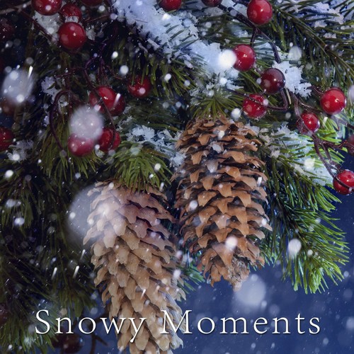 Snowy Moments