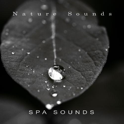 Mountain River cover art