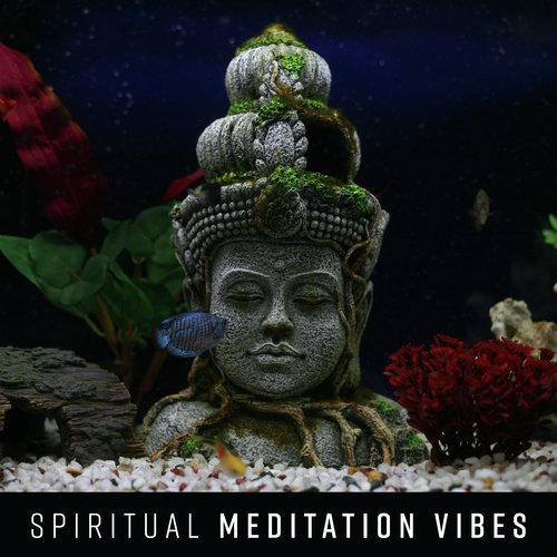 Spiritual Understanding cover art