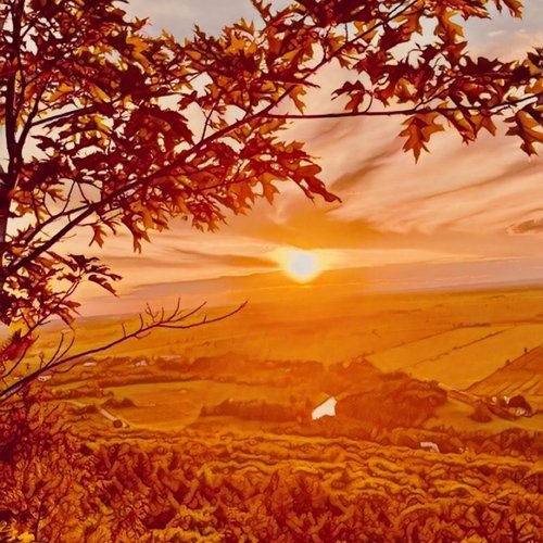 Sunset cover art