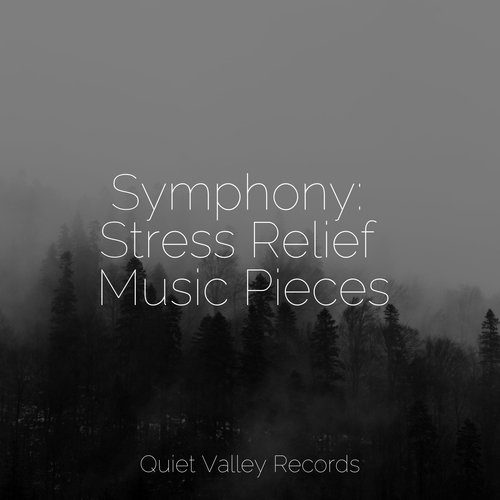 Symphony: Stress Relief Music Pieces