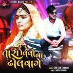 Tara Vivona Dhol Vage