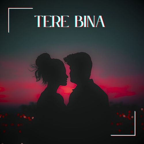 Tere Bina