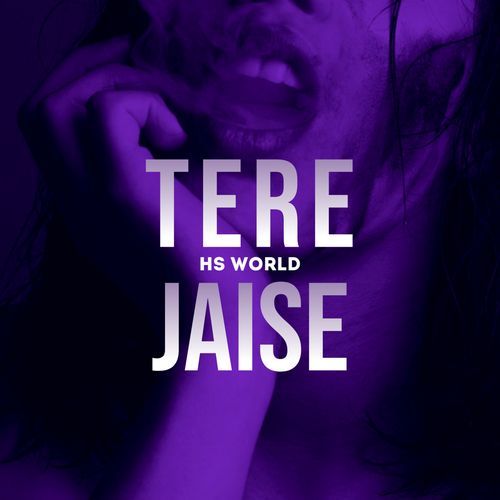 Tere Jaise