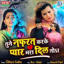 Tune Nafrat Karke Pyar Bhara Dil Toda-KTcKeBpgBWo