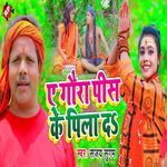 Ye Gaura Pis Ke Pila Da