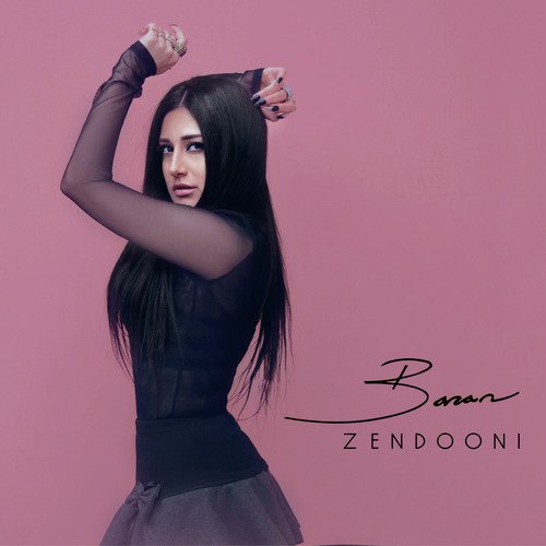 Zendooni_poster_image