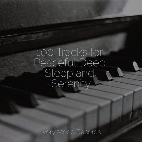 Calming Sanctuary cover art