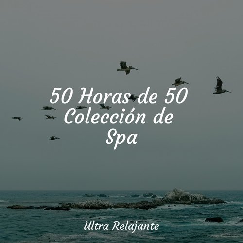 Ligereza Y Suavidad cover art