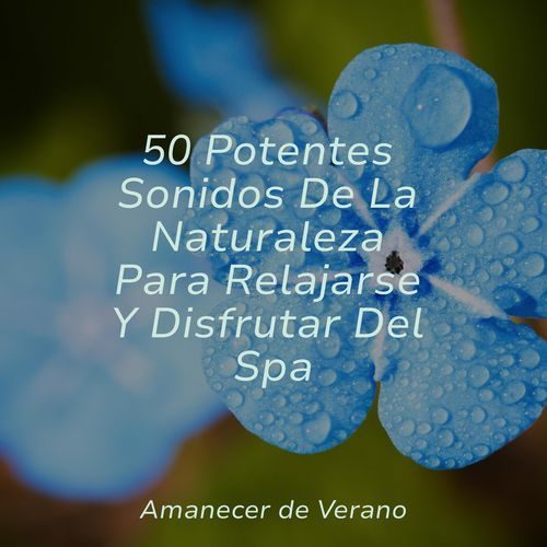 50 Potentes Sonidos De La Naturaleza Para Relajarse Y Disfrutar Del Spa