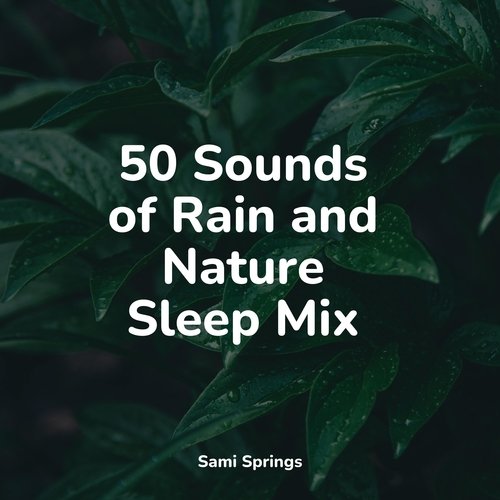 50 Sounds of Rain and Nature Sleep Mix_poster_image