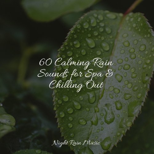 60 Calming Rain Sounds for Spa & Chilling Out