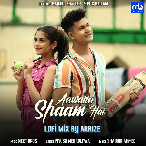Aawara Shaam Hai - Lofi Mix (Studio)