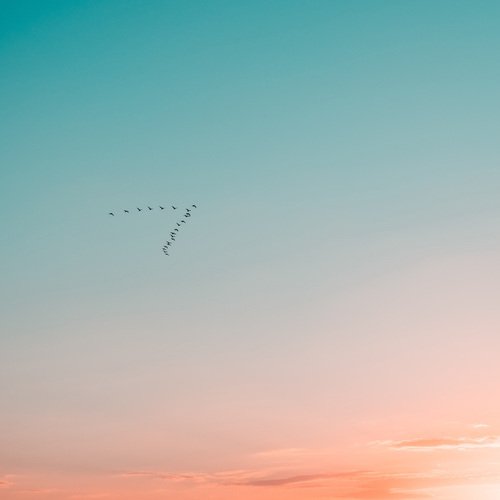 晚安, 月亮 (助眠钢琴曲) cover art