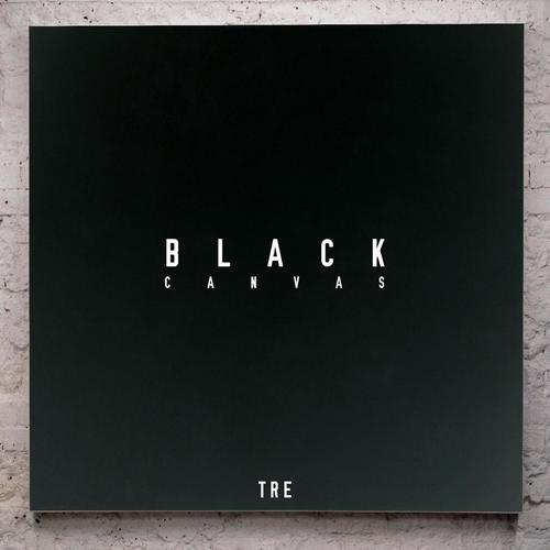 Black Canvas_poster_image