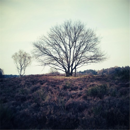 Cities cover art
