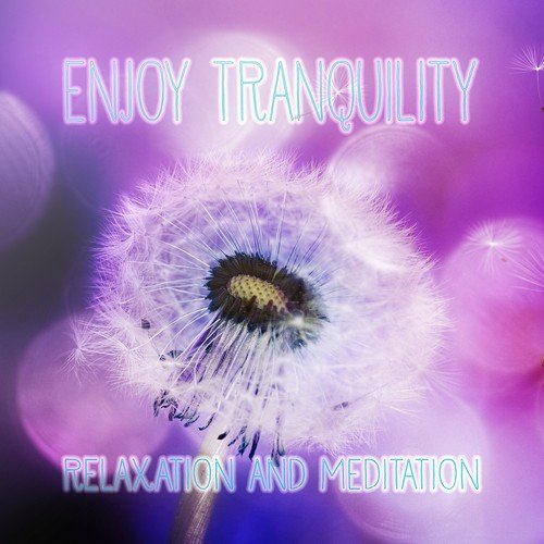 Enjoy Tranquility - Relaxation and Meditation Yoga Healing Music, Nature Sounds Perfect for Massage, Acupressure, Aromatherapy, Ayurveda, SPA & Massage