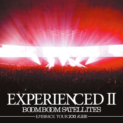 Another Perfect Day (Embrace Tour 2013) cover art
