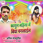 Fagun Mahina Biya Paglail Re