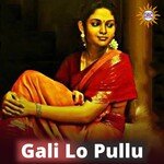 Gali Lo Pullu