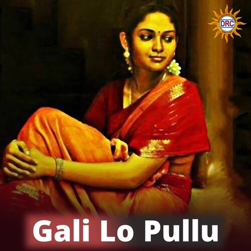 Gali Lo Pullu