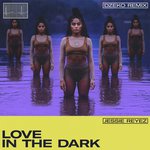 LOVE IN THE DARK (Dzeko Remix)