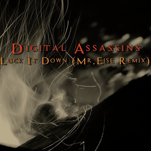 Digital Assassins