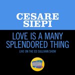 Love Is A Many Splendored Thing (Live On The Ed Sullivan Show, November 20, 1955)