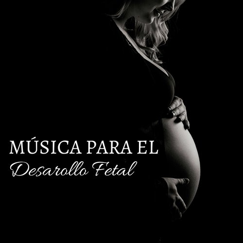 Canción del Mar cover art