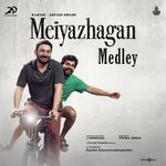 Meiyazhagan Medley (From "Meiyazhagan")