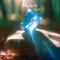 Miracle-P18MegdbckQ